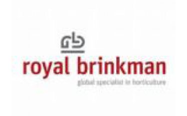 royal brinkman royal brinkman