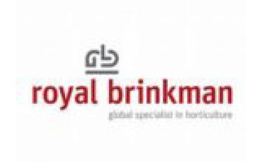 royal brinkman