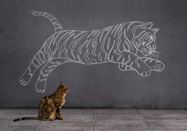 If they don't grow they go! If they don't grow they go!