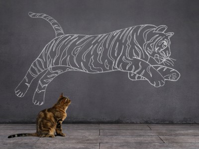If they don't grow they go! If they don't grow they go!