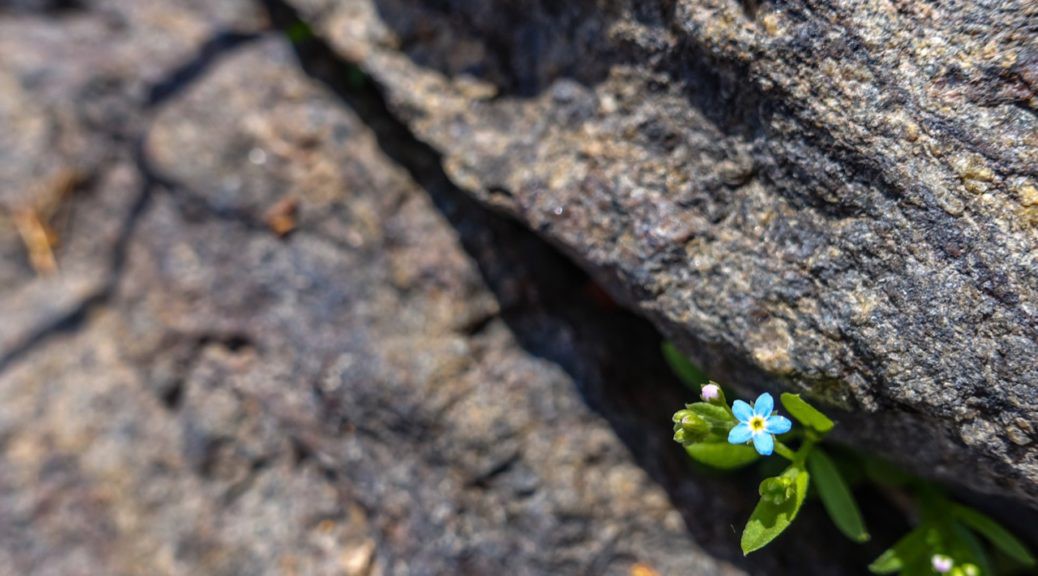 Kom uit je comfort zone en groei! | Q-Impact